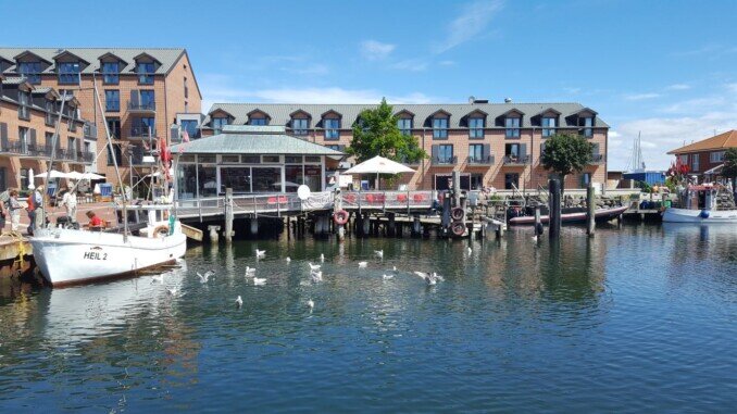 Froschen Fisch vom Kutter Heiligenhafen